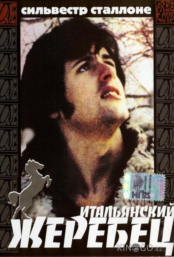 Итальянский жеребец 