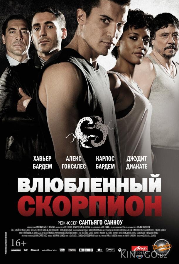 Влюбленный скорпион 